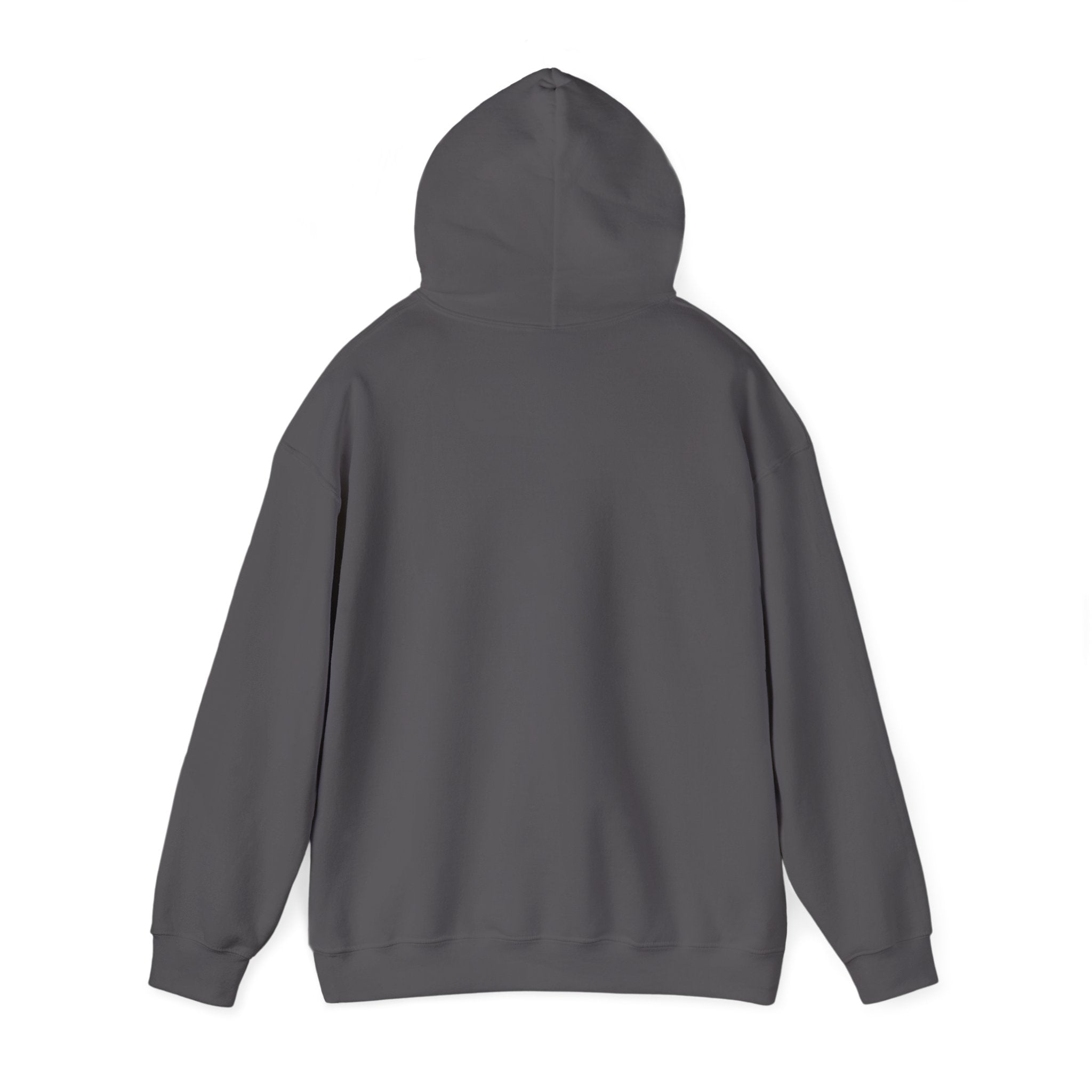 Jesus Wept Hoodie