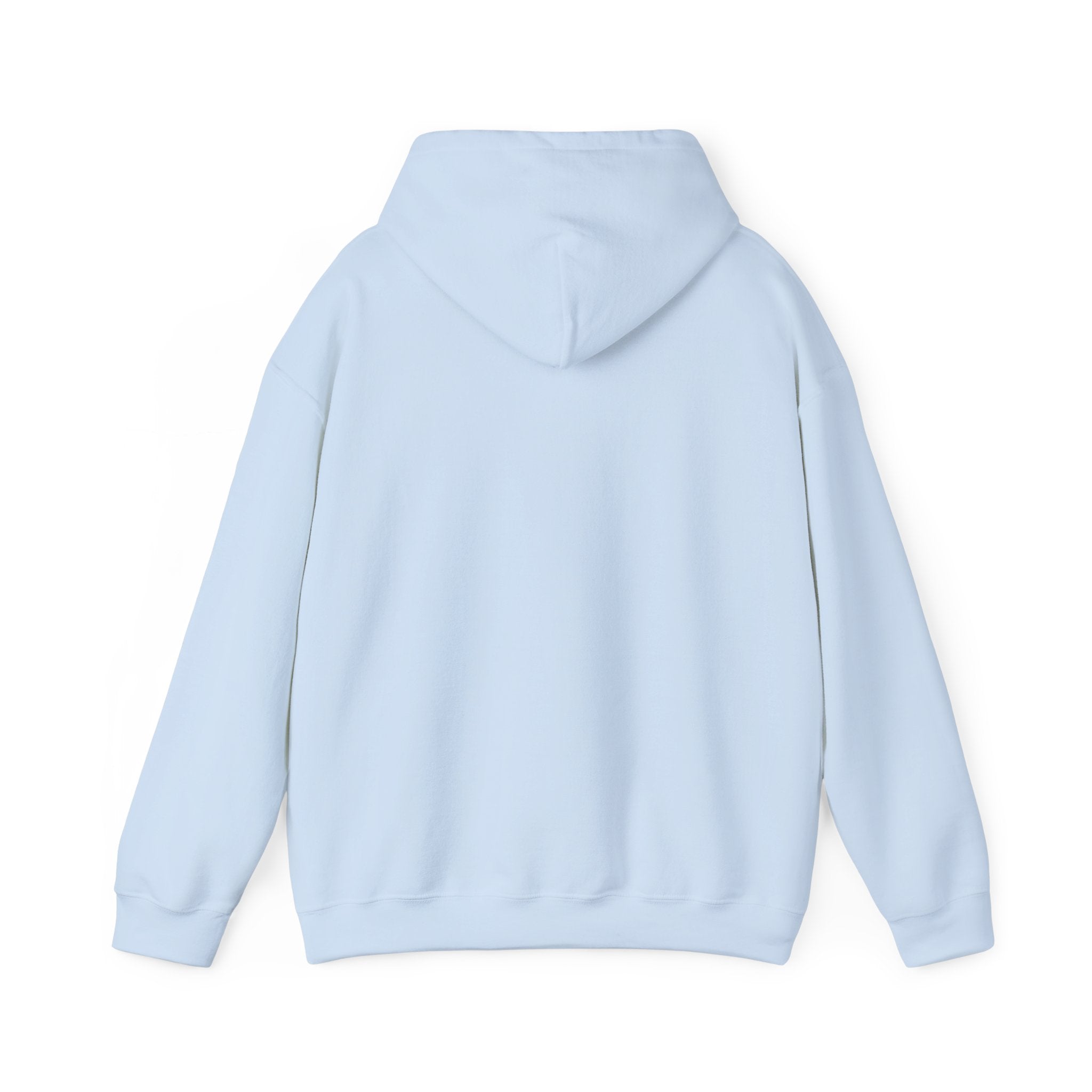 Jesus Wept Hoodie