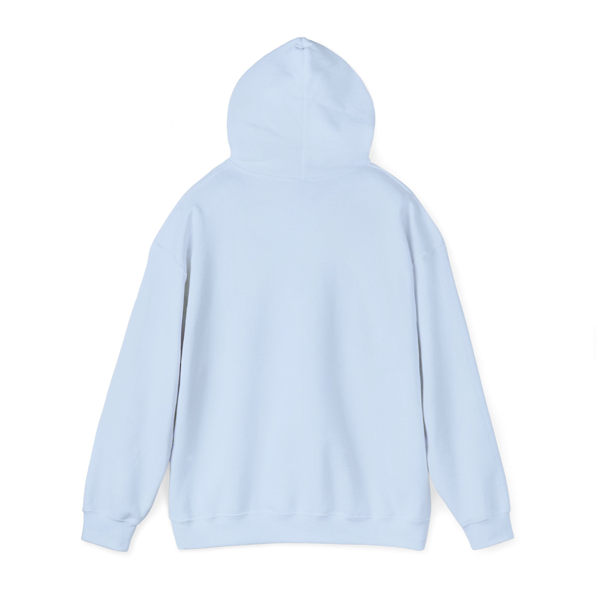 Jesus Wept Hoodie